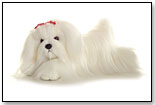 Lhasa Apso Flopsie by AURORA WORLD INC.