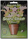Grow Your Own Scary Ghost Plant by NOTED CO