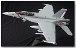 Witty Wings - F/A-18E Super Hornet, VFA-2 "Bounty Hunter" by BAD CAT TOYS INC.