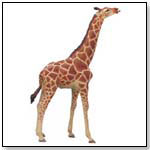 Vanishing Wild Reticulated Giraffe by SAFARI LTD.®