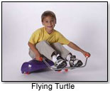 Flying Turtle by MASON CORPORATION