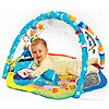 Discovering Water Activity Gym by BABY EINSTEIN