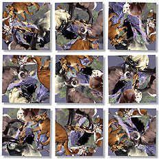 Rocky Mountain Wildlife Scramble Squares® 9-Piece Puzzle