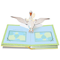 Pop-Up Baby Memory Book