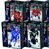 NHL 300pc Poster Puzzles by THE CANADIAN GROUP