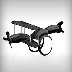 BiPlane Tire Swing