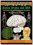 Bones, Brains and DNA. by BUNKER HILL PUBLISHING