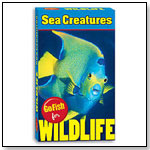 Go Fish for Wildlife: Sea Creatures by BIRDCAGE PRESS