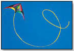 Fly High With Kites