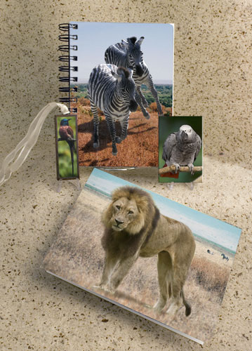 African Themed Stationary by ASPEN LIGHT IMAGING