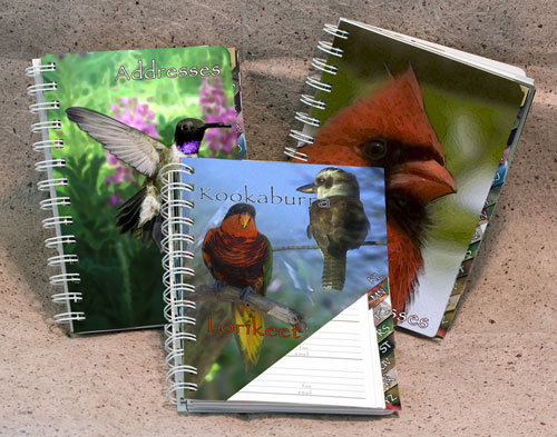 Bird Address Book by ASPEN LIGHT IMAGING