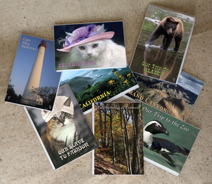 Mini Photo Albums by ASPEN LIGHT IMAGING