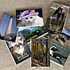 Mini Photo Albums by ASPEN LIGHT IMAGING