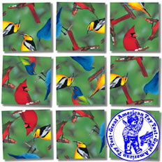 North American Birds Scramble Squares by b. dazzle, inc.