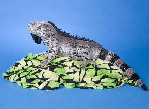 Large Product Image