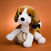 Bobby Beagle by DOUGLAS CUDDLE TOYS