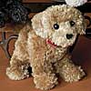 Goldi Golden Retriever by DOUGLAS CUDDLE TOYS