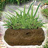 Soothing Aloe Rock Garden by DUNECRAFT INC.