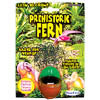 Prehistoric Fern by DUNECRAFT INC.