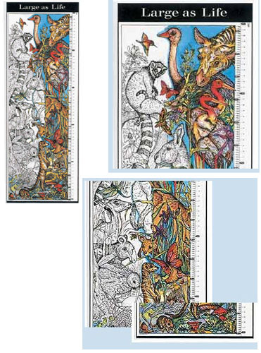 Color Your Own Large as Life Growth Chart by HYGLOSS PRODUCTS INC.