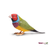 Incredible Creatures Gouldian Finch by SAFARI LTD.