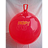 Hop! 66 (26") by TMI TOYMARKETING INTERNATIONAL INC.