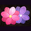 Pansy Colors by TEACUP TABLES LLC