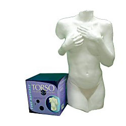Front Torso Kit by ARTMOLDS SCULPTURE STUDIO