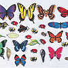 Butterflies by BETTY LUKENS INC