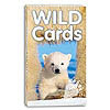 Wild Cards by BIRDCAGE PRESS