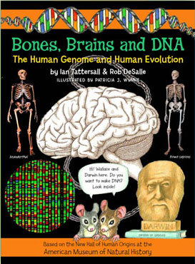 Bones, Brains and DNA. by BUNKER HILL PUBLISHING