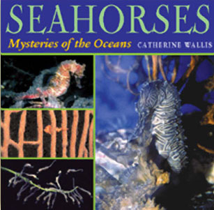 Seahorses by BUNKER HILL PUBLISHING