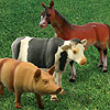 Farm Animals with Sound by ESCO TOYS