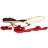 Snowskates by SPORT TECHNOLOGY INC