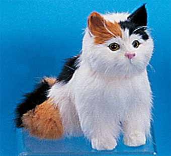 Sitting Cat by FURRY ANIMAL KINGDOM