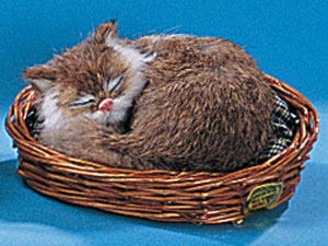 Cat sleeping in basket by FURRY ANIMAL KINGDOM