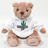 13" Teddy Bear w/ Arizona Sweatshirt by HERRINGTON TEDDY BEAR COMPANY