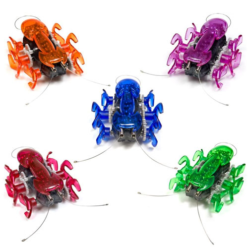 HEXBUG Ant by INNOVATION FIRST LABS, INC.
