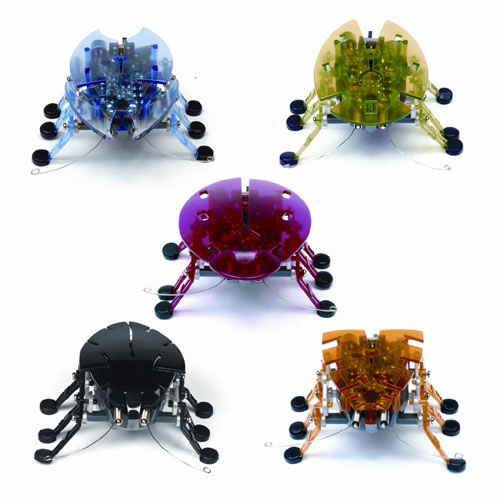 HEXBUG Micro Robotic Creature by INNOVATION FIRST LABS, INC.