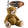 Grab and Go Teddy Bear by KIDS JUKE BOX