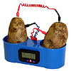 Potato Clock by PACIFIC SCIENCE SUPPLIES INC.