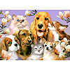 Class Picture - 399 piece Family Puzzle by SERENDIPITY PUZZLE COMPANY