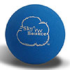 Sky Bounce Ball - Blue by SKY BOUNCE, LLC