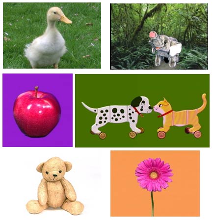 Screen Shots by THE BABY SOCIETY