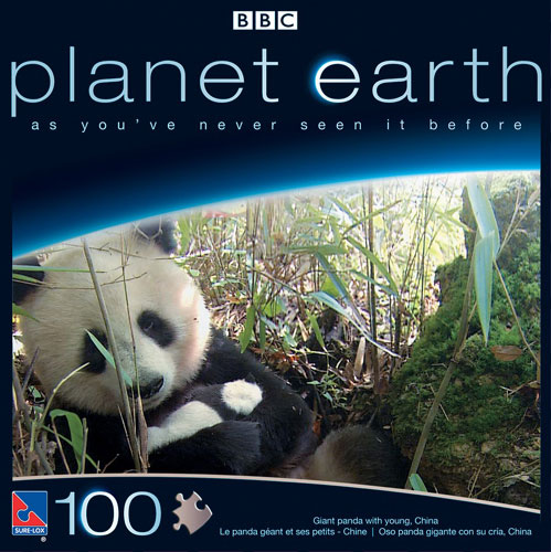 Planet Earth 100PC Jigsaw Puzzle by THE CANADIAN GROUP