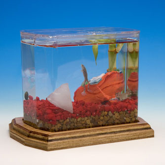 Jewel Water Garden Starter Kit Eco-Aquarium by WILD CREATIONS
