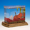 Jewel Water Garden Starter Kit Eco-Aquarium by WILD CREATIONS