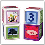 Matching Musical Blocks by BABY EINSTEIN