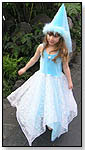 Fairy Dancer Dress by FAIRY FINERY