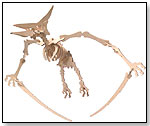 Wooden 3-D Puzzle – Pteranodon (small) by TOYSMITH